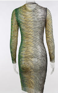 Mesh Bodycon Dress